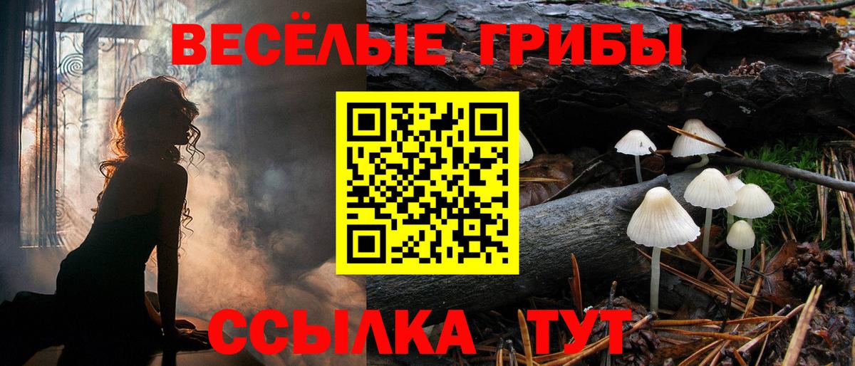 Бошки Шишки  Вход с VPN  Кокаин  Каннабис  Сегежа  ГАШ  ГАШИШ  Меф кристаллы  Альфа ПВП СК кристаллы 