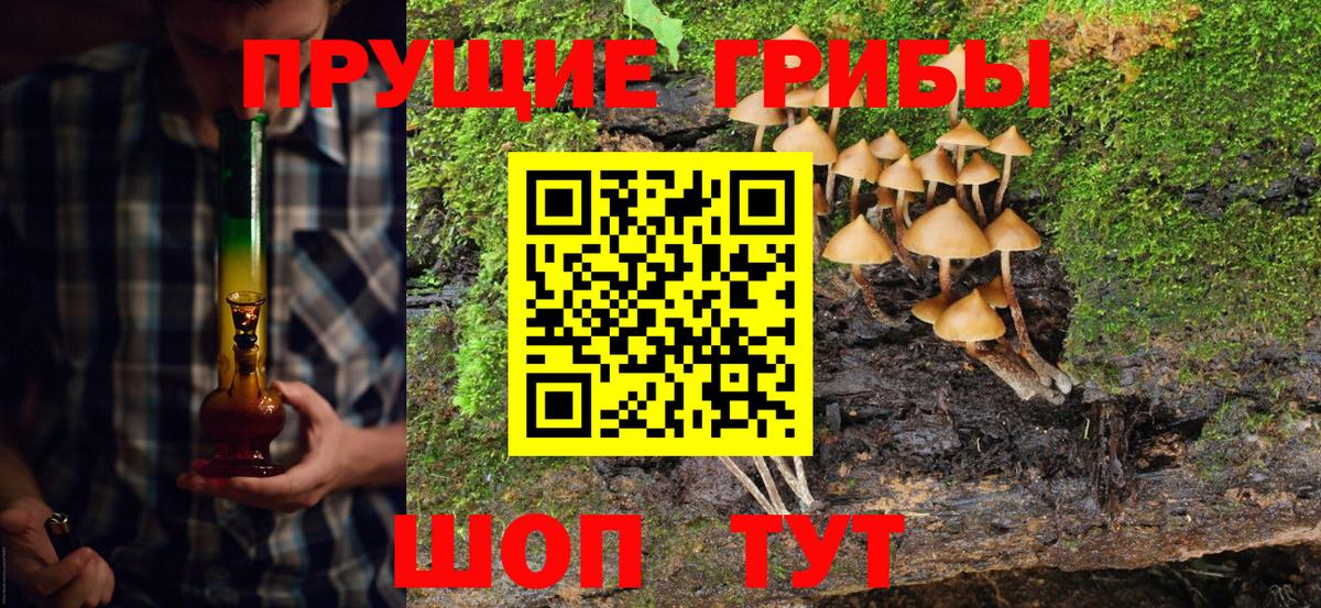 купить  сайты  Псилоцибиновые грибы Psilocybe  Псилоцибиновые грибы Psilocybine cubensis  Вход с VPN  Сегежа 